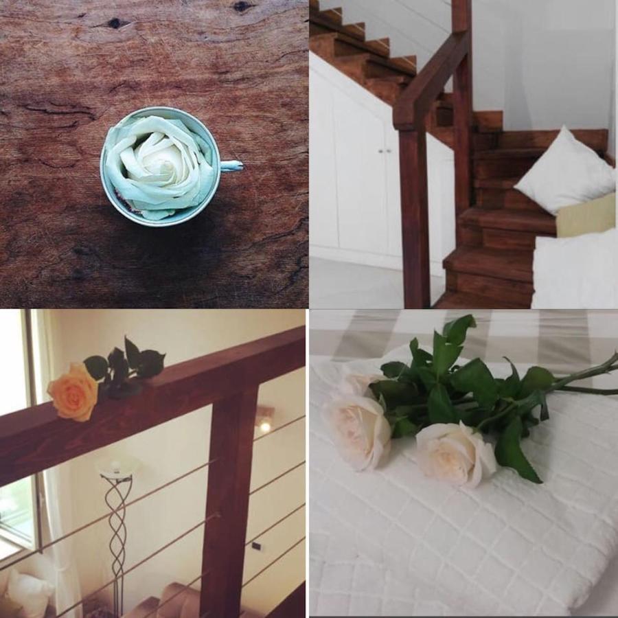 S. Sofia Apartment *